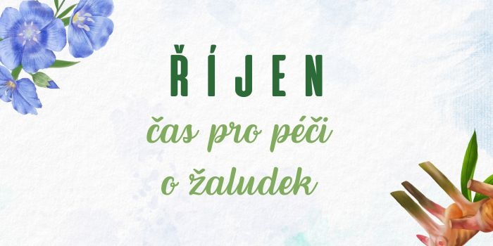 TČM říjen žaludek (700 x 350 px)